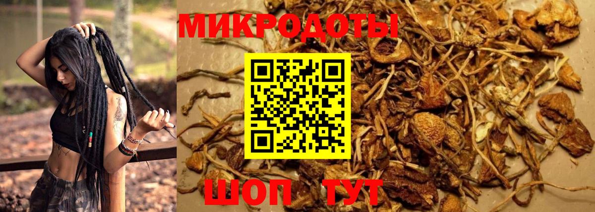 Рыбинск  Псилоцибиновые грибы прущие грибы  Галлюциногенные грибы мухоморы  Вход с VPN 