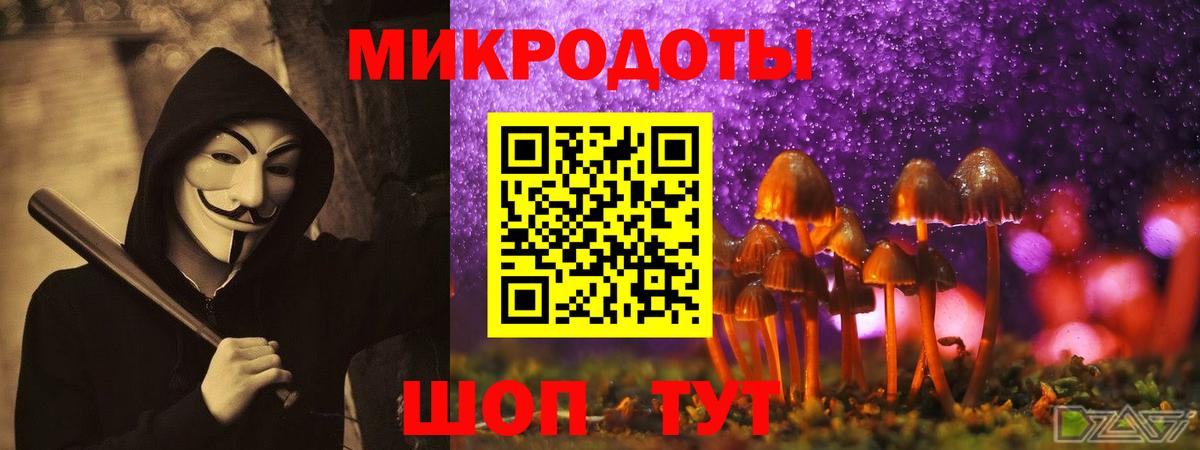 Галлюциногенные грибы Psilocybine cubensis Рыбинск